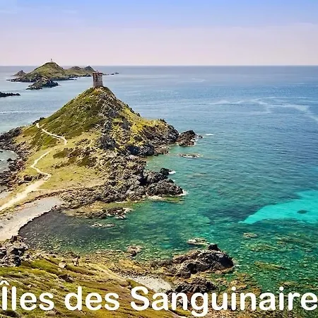 公寓 T3 - Front De - Parking - Confort 阿雅克肖