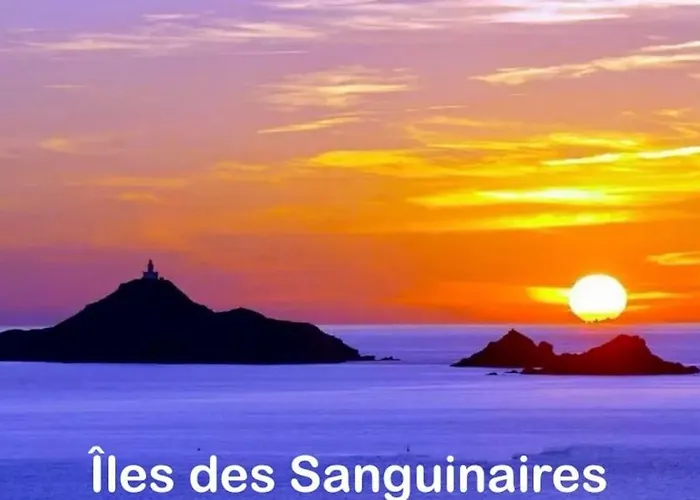 T3 - Front De - Parking - Confort * 阿雅克肖