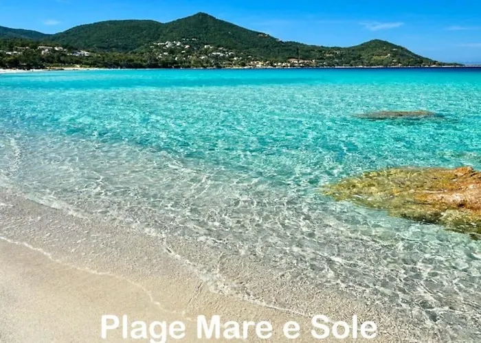 T3 - Front De - Parking - Confort * 阿雅克肖