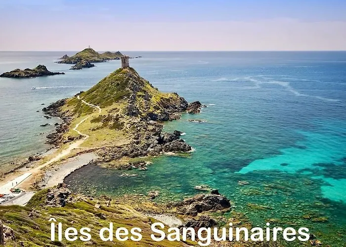 公寓 T3 - Front De - Parking - Confort 阿雅克肖